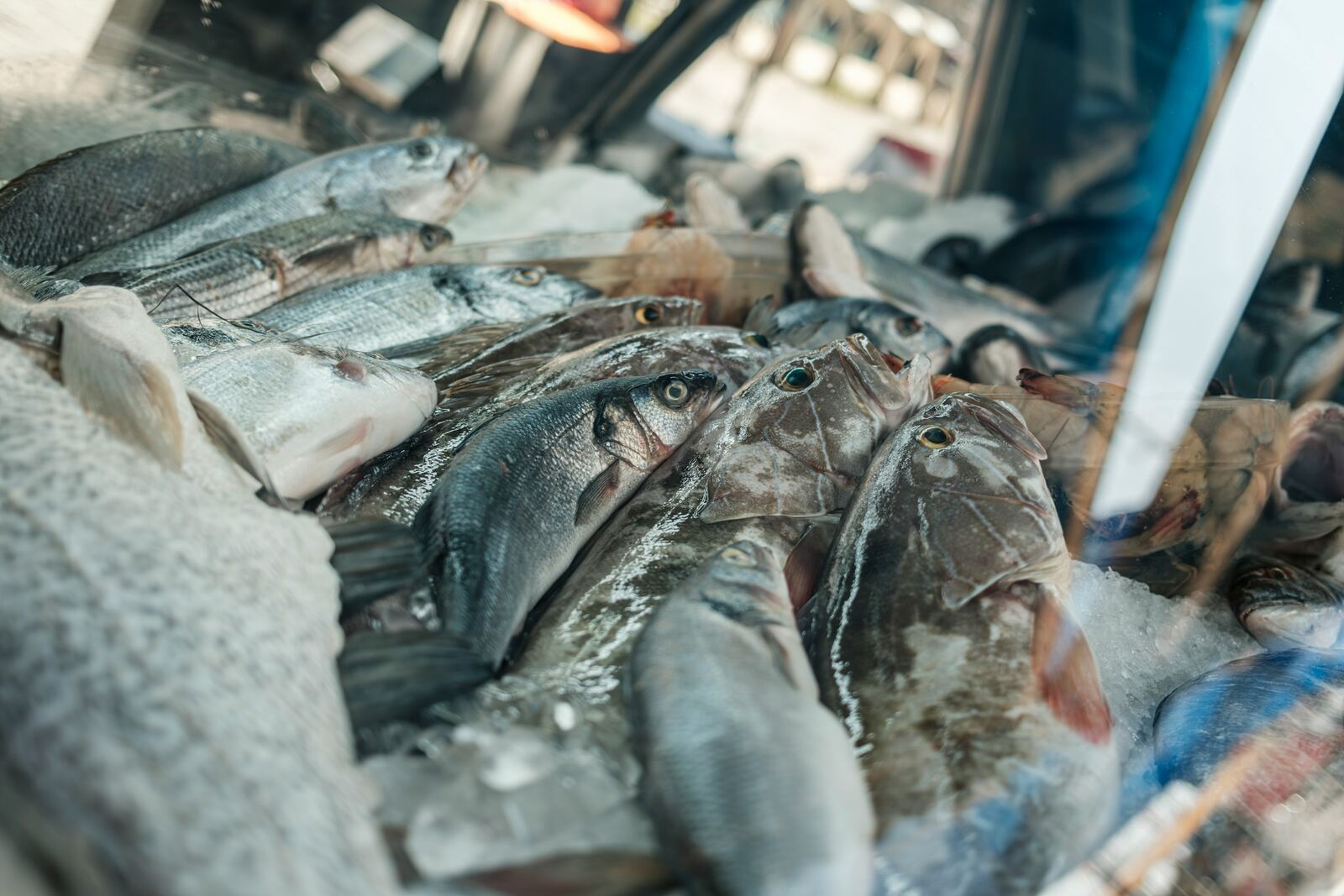 A pile of whole fresh fish resting on crushed ice inside a glass display case